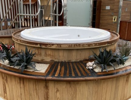 Carnival UK – Britannia Dry Dock April 2024 in Rotterdam, Netherlands